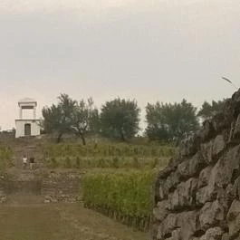 Sárga Borház Vendéglő, Mezőzombor - Egyéb