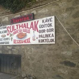 Sült Halak (Taverna Étterem) , Tokaj - Külső kép