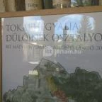 Oroszlános Borvendéglő Tállya - Egyéb