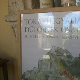 Oroszlános Borvendéglő Tállya - Egyéb