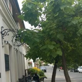 Tokaji Kávépörkölő Manufaktúra Tokaj - Külső kép