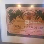 Vár Vendéglő Sárospatak - Belső