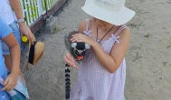 Richter Safari Park, Nagykőrös