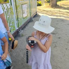Richter Safari Park Nagykőrös - Külső kép