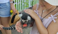Richter Safari Park, Nagykőrös