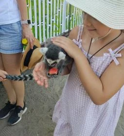 Richter Safari Park