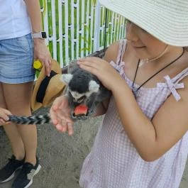 Richter Safari Park Nagykőrös - Külső kép