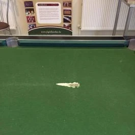 Hotel H?forrás, Hajdúszoboszló - Egyéb