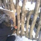 Puchner Kastélyszálló Bikal - Környék