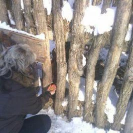 Puchner Kastélyszálló, Bikal - Környék