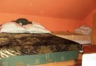 Kontra - Madarasi Lakás Abádszalók