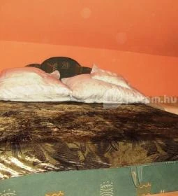 Kontra - Madarasi Lakás 