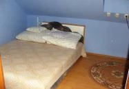 Kontra - Madarasi Lakás Abádszalók