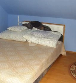 Kontra - Madarasi Lakás 