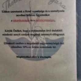 Hotel Gara Gyógy- és Wellness Szálloda, Füzesgyarmat - Egyéb