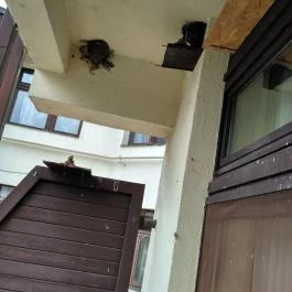 Hotel Gara Gyógy- és Wellness Szálloda, Füzesgyarmat - Belső