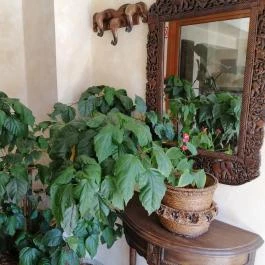 Amira Boutique Hotel Wellness & Spa Hévíz - Belső