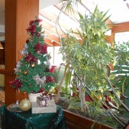 Silvanus Wellness & Konferencia Hotel Visegrád - Belső