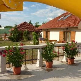 Egri Korona Borház & Wellness Hotel Demjén - Medence/kert