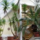 Hotel Kakadu Keszthely - Belső