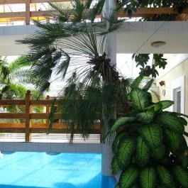 Hotel Kakadu, Keszthely - Wellness