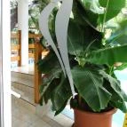 Hotel Kakadu Keszthely - Belső