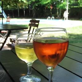 Wellness Hotel Szindbád , Balatonszemes - Vendéglátás