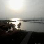 Flamingó Wellness & Konferencia Hotel Balatonfüred - Környék