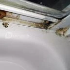 Szent Orbán Erdei Wellness Hotel Kóspallag - Egyéb