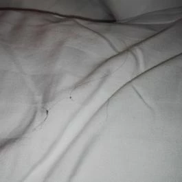 Szent Orbán Erdei Wellness Hotel Kóspallag - Egyéb