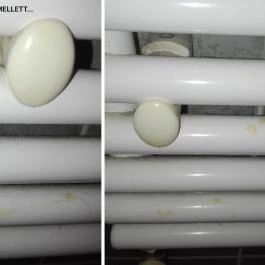 Szent Orbán Erdei Wellness Hotel Kóspallag - Egyéb