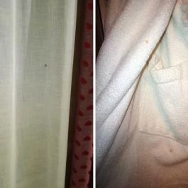 Szent Orbán Erdei Wellness Hotel Kóspallag - Egyéb