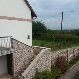 Crocus Gere Bor Hotel Wine Spa Villány - Medence/kert