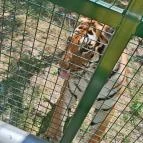 Richter Safari Park Nagykőrös - Külső kép
