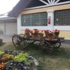 Balatontourist Strand-Holiday Kemping Balatonakali - Külső kép