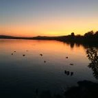 Balatontourist Strand-Holiday Kemping Balatonakali - Környék