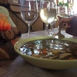 Dvorák Vendégudvar, Etyek - Étel/ital