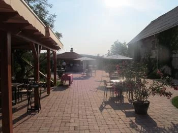 Pántlika Porta Dörgicse