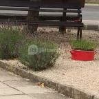 Zománc Bisztrócska Vászoly - Egyéb