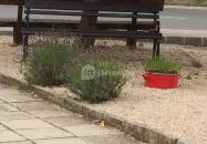 Zománc Bisztrócska Vászoly