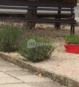 Zománc Bisztrócska