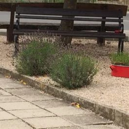 Zománc Bisztrócska, Vászoly - Egyéb