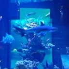 Pécsi Állatkert Pécs - 