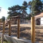 Pécsi Állatkert Pécs - 