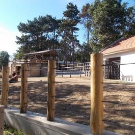 Pécsi Állatkert, Pécs - 