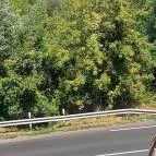 Hotel Bellevue Esztergom - Egyéb