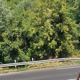 Hotel Bellevue, Esztergom - Egyéb