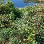 Hotel Bellevue Esztergom - Egyéb