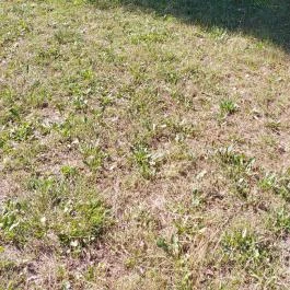 Hotel Bellevue, Esztergom - Egyéb