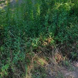 Hotel Bellevue, Esztergom - Egyéb